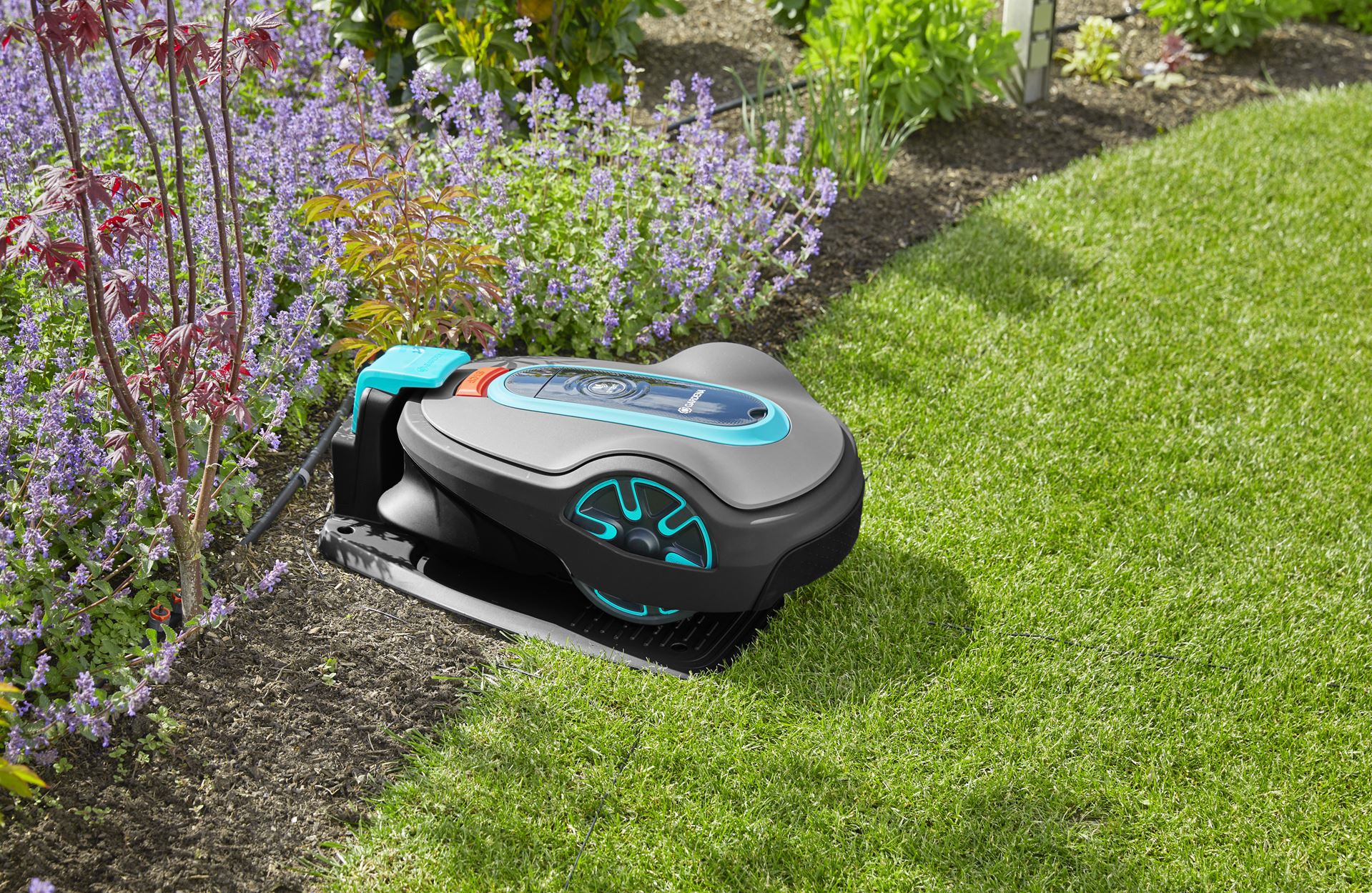 Robotmaaier kopen? Waar moet je op letten bij de aanschaf van een robotmaaier? [2025 Editie]