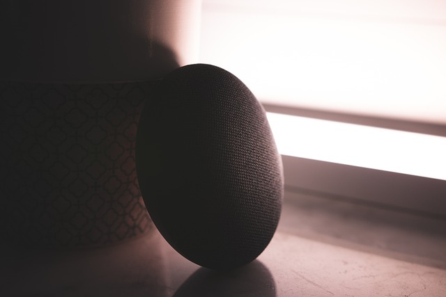 Topkeuze in Smart Home Speakers Google Nest en Sonos